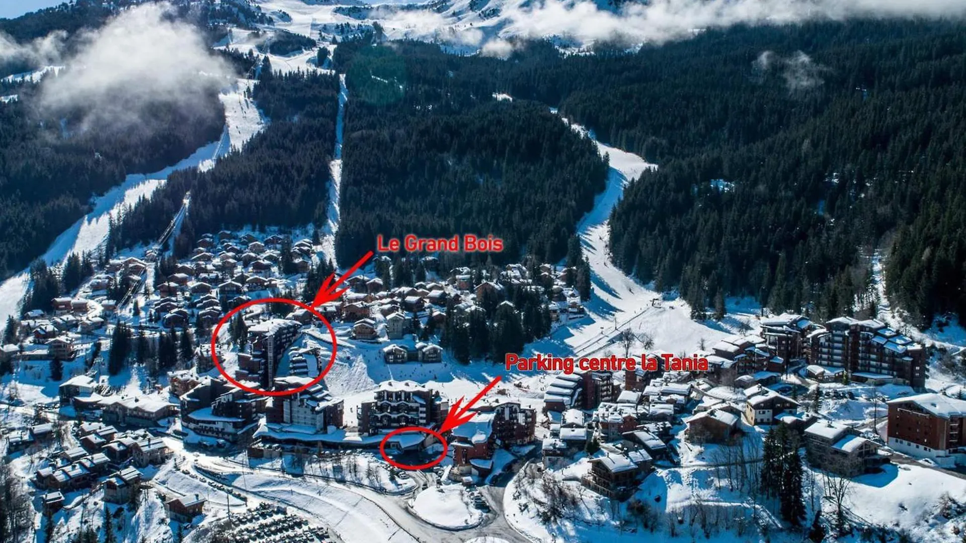 Charmant 2 Pieces Pour 4 Pers. Avec Balcon, Skis Aux Pieds, Centre La Tania, Pres Des Remontees Mecaniques. - Fr-1-182A-31 Courchevel 0*,  France